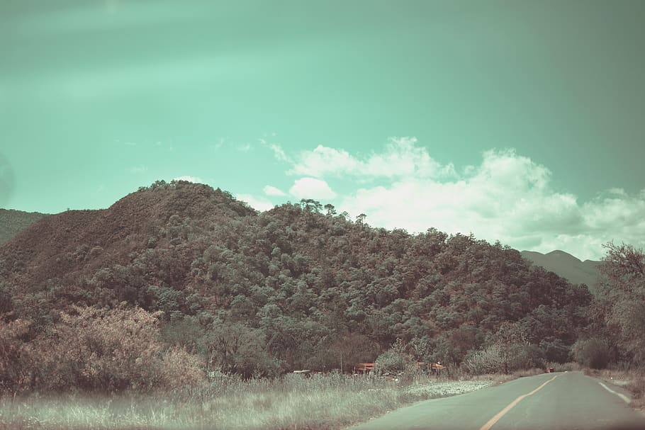 road, forest, mexico, green, trees, sky, cloud - sky, beauty in nature HD wallpaper
