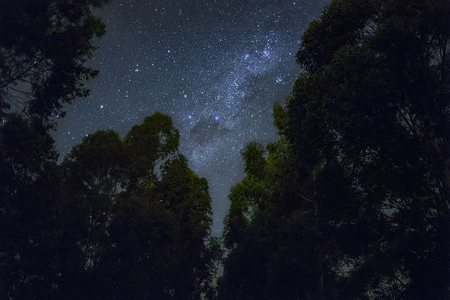 brazil, 37200-000, tree, plant, star - space, night, astronomy HD wallpaper