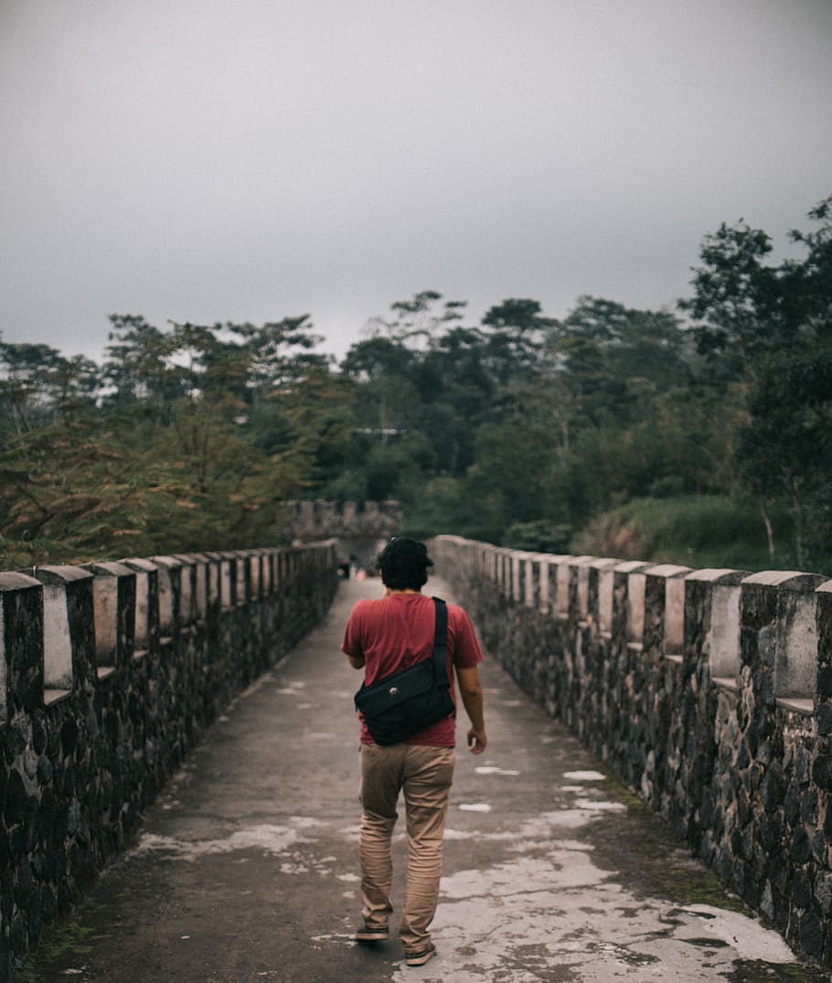 Man Walking on Concrete Bridge, path, trees, rear view, plant HD wallpaper