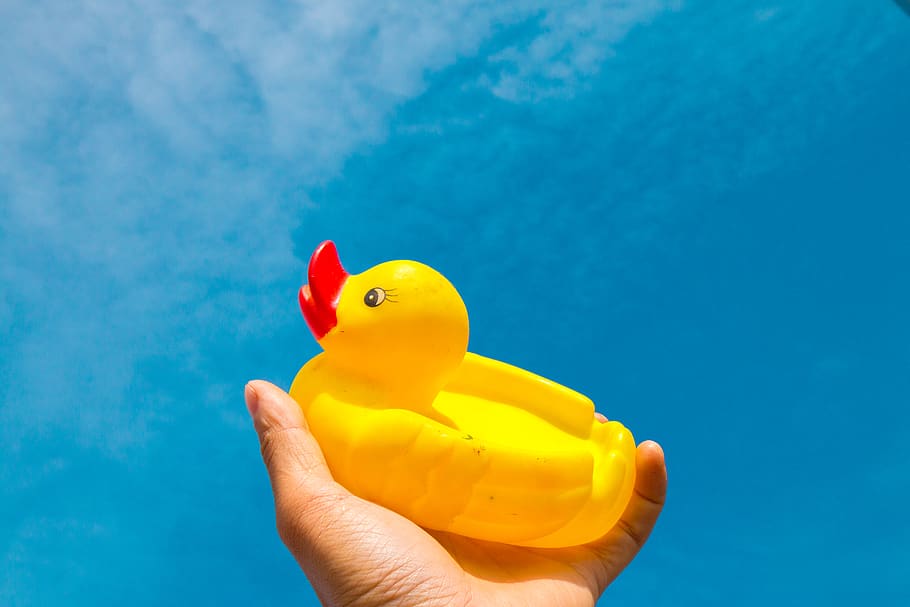 Yellow Duck, squishy toy, human body part, rubber duck, human hand HD wallpaper