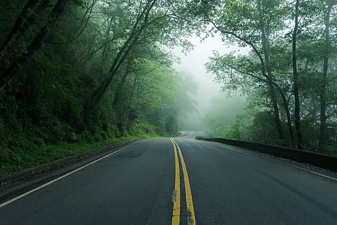 gray road, highway, tarmac, asphalt, fog, nature, outdoors, grey HD wallpaper