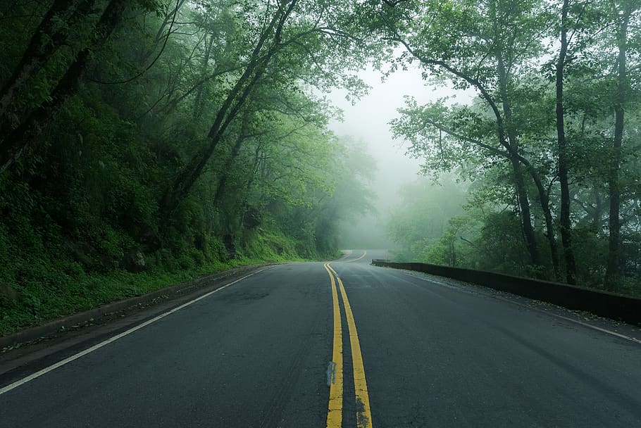 gray road, highway, tarmac, asphalt, fog, nature, outdoors, grey HD wallpaper