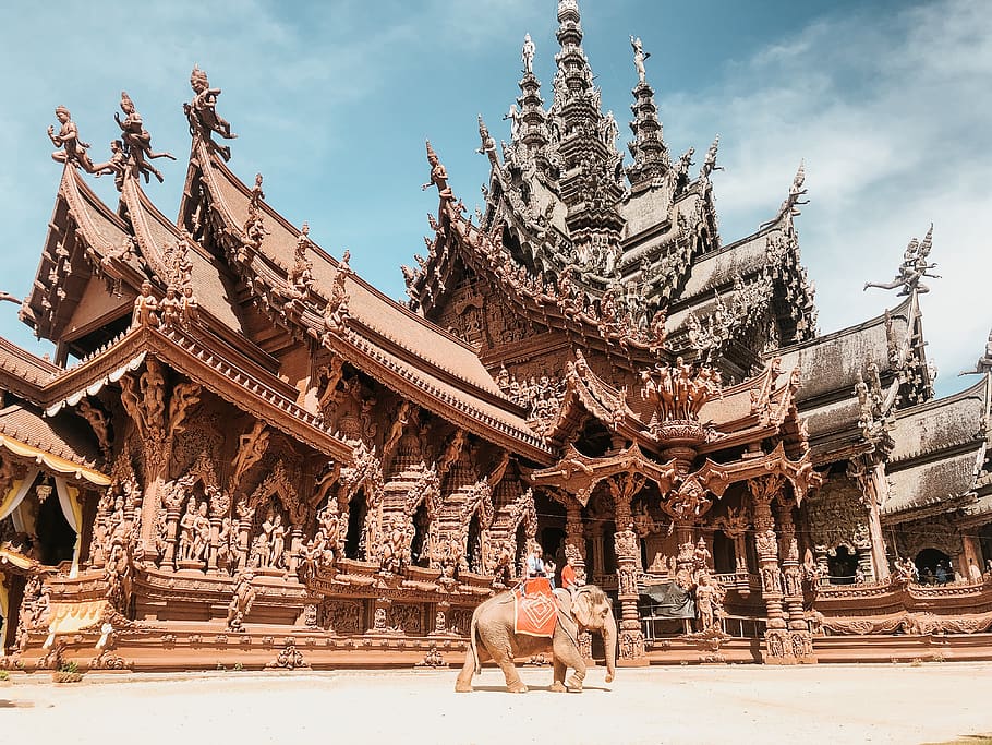 gray elephant near temple, architecture, building, shrine, worship
