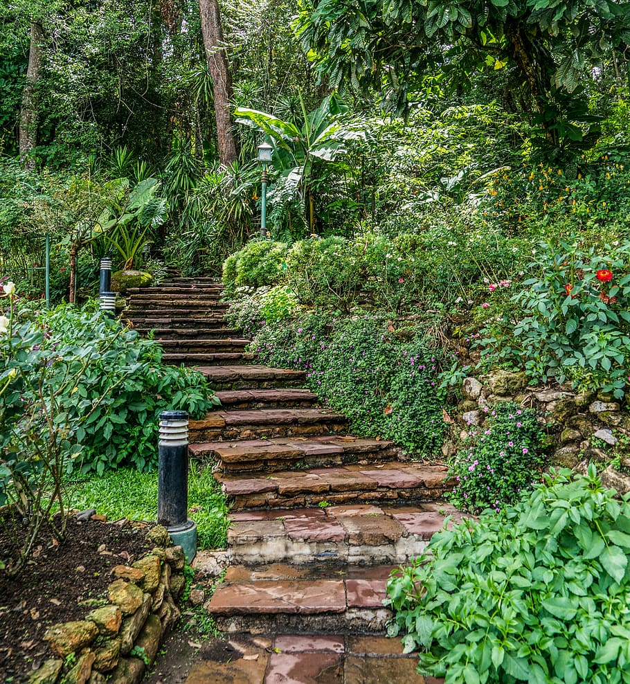 stone steps, beautiful landscape, path, forest, tropical, botanical garden HD wallpaper