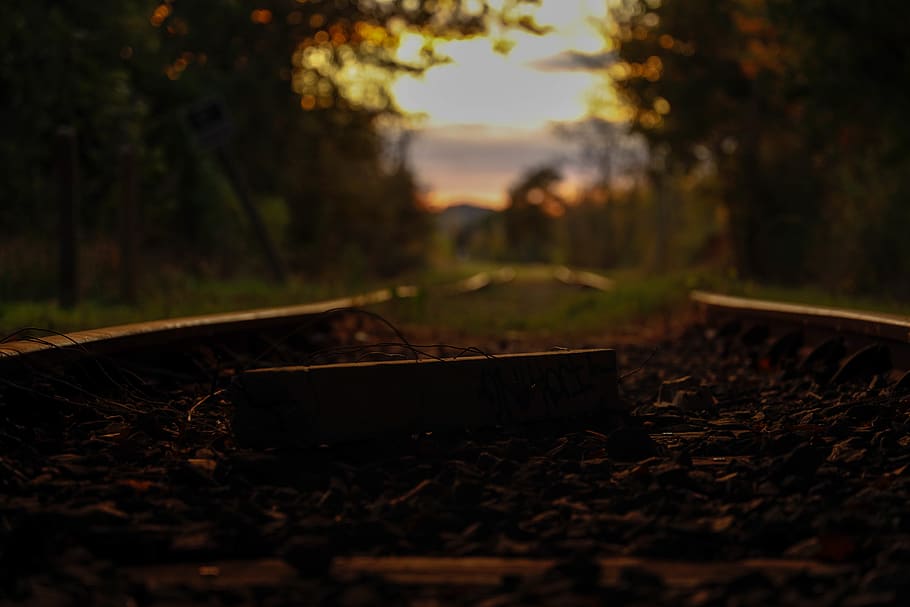 sunset, trees, railway, deserted, reflets, lanscape, selective focus HD wallpaper