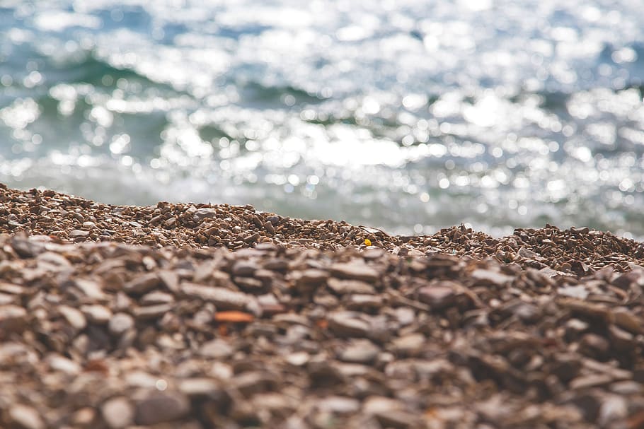 beach, rocks, shore, summer, sunshine, ocean, sea,, selective focus HD wallpaper
