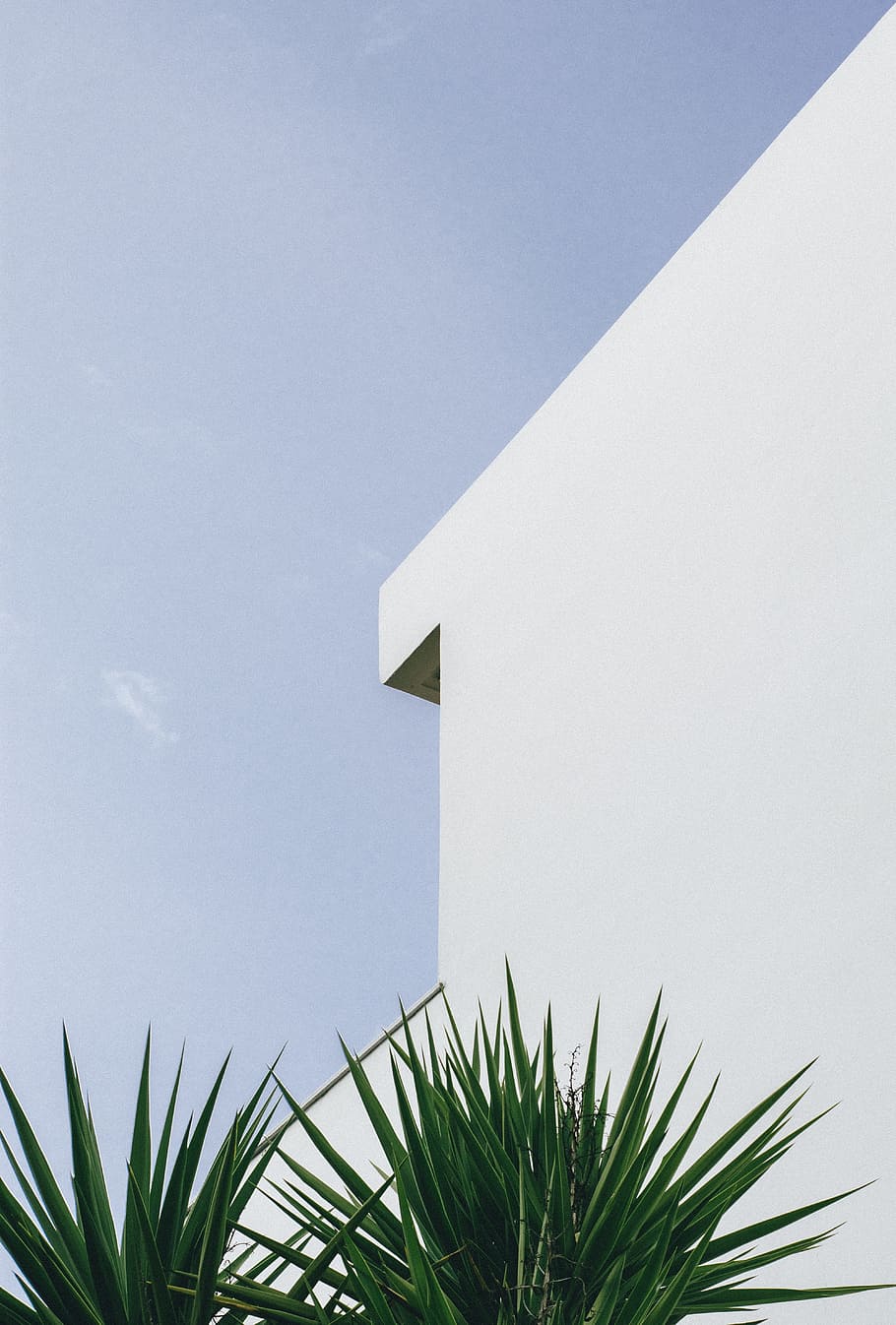 green plant beside white house, arch, minimal, architectre, sky HD wallpaper