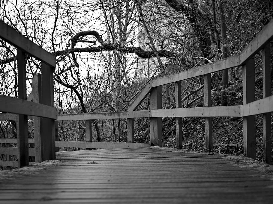 bridge, boardwalk, building, path, walkway, railing, banister HD wallpaper
