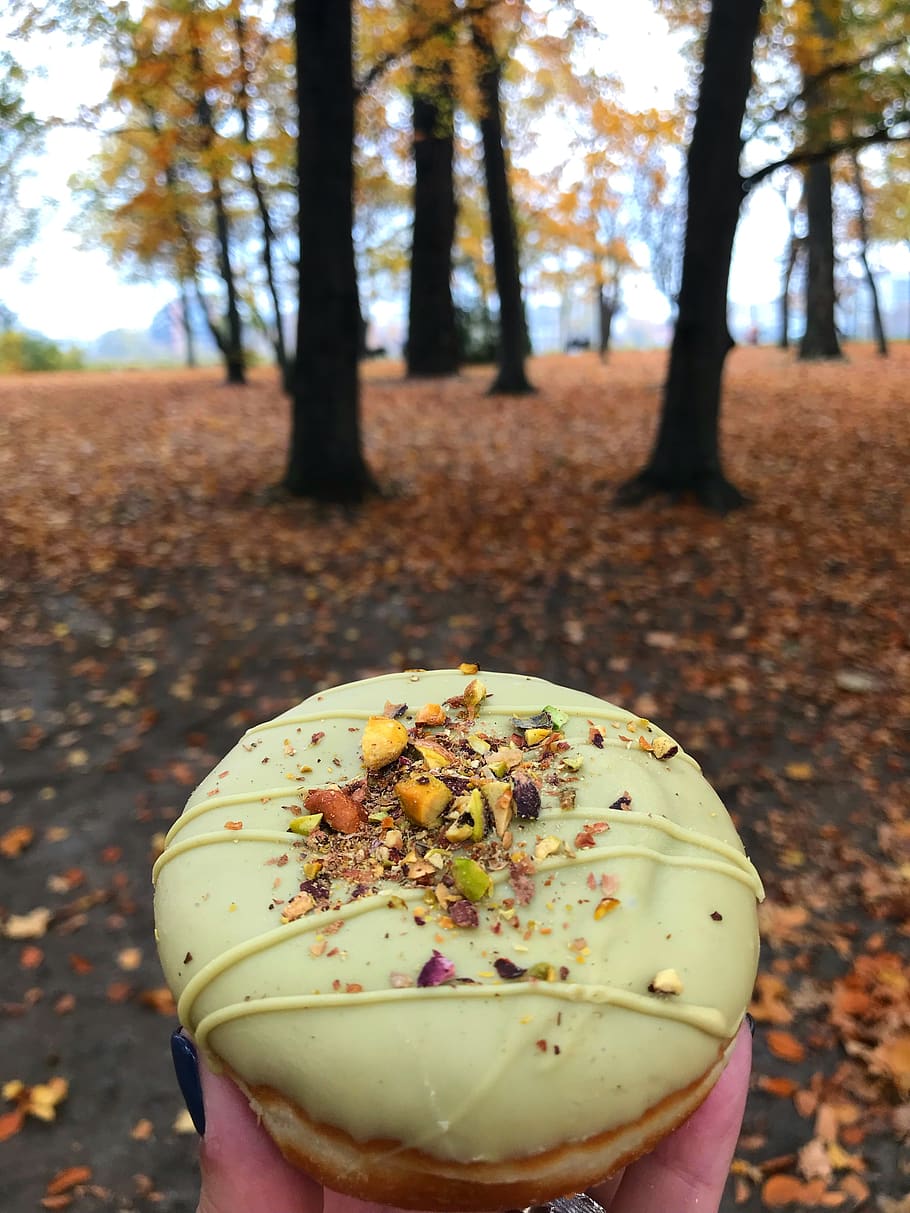 pistachio, doughnut, nuts, tree, food, focus on foreground HD wallpaper