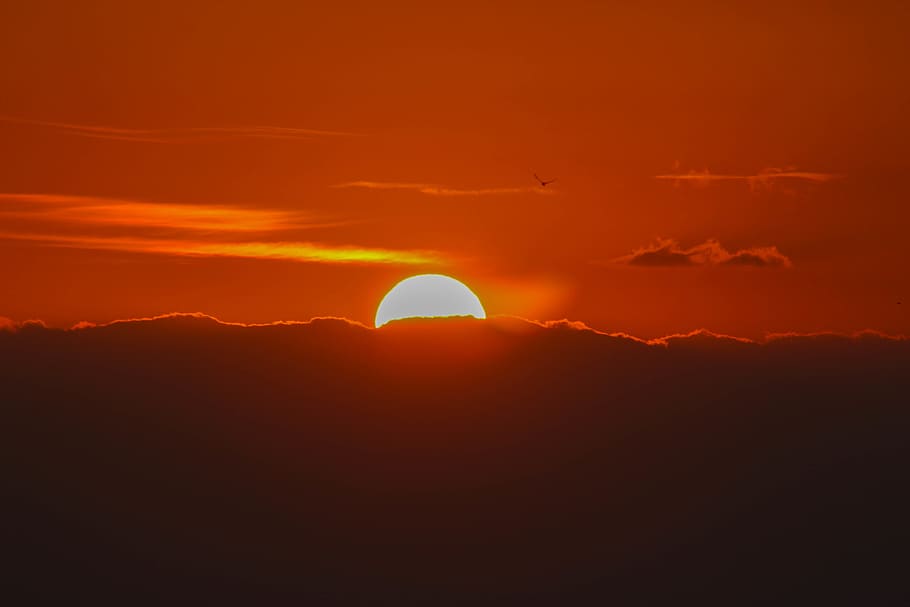 Golden Hour, backlit, dawn, nature, sky, sun, sunrise, sunset HD wallpaper