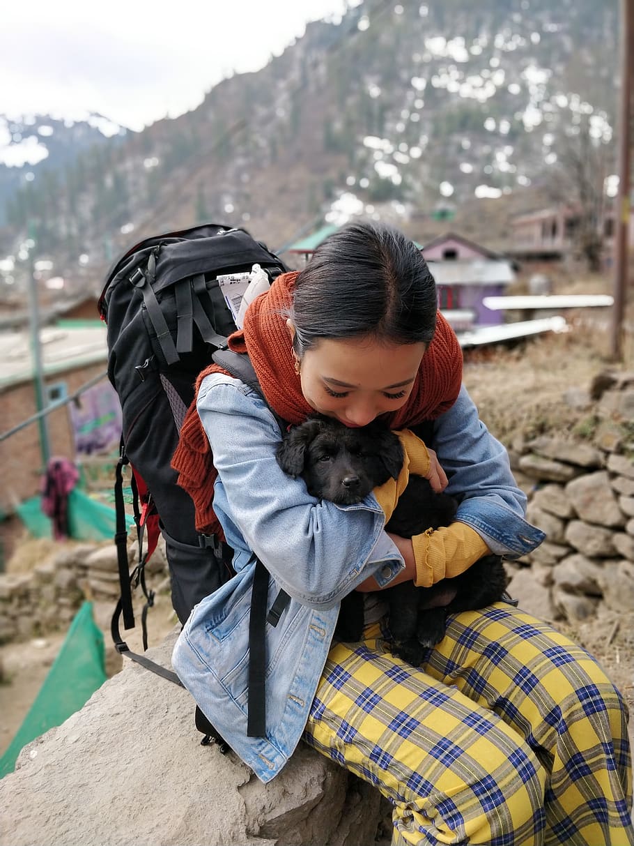 tosh, india, 99, human, person, animal, pet, dog, bag, backpack