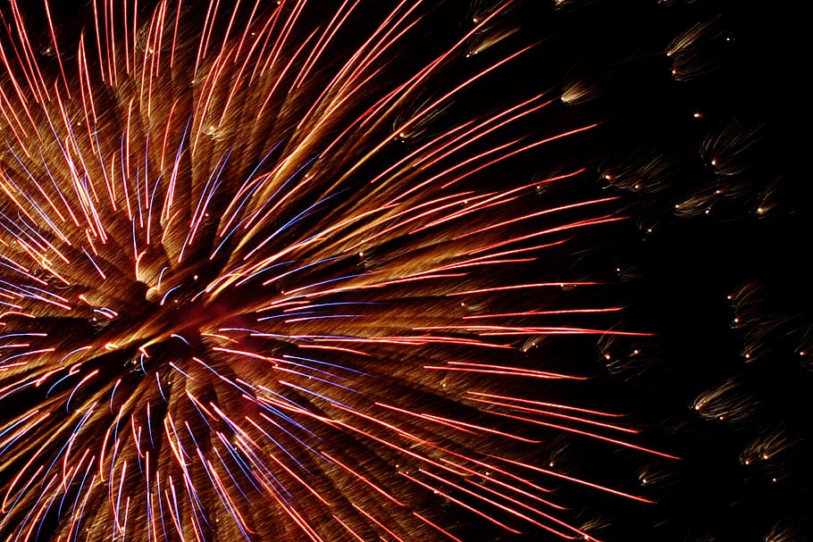 firework, fireworks, celebrate, celebration, guy fawkes, new year HD wallpaper