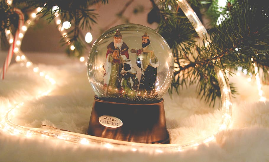 christmas, christmas tree, pine, pine tree, lights, christmas lights HD wallpaper