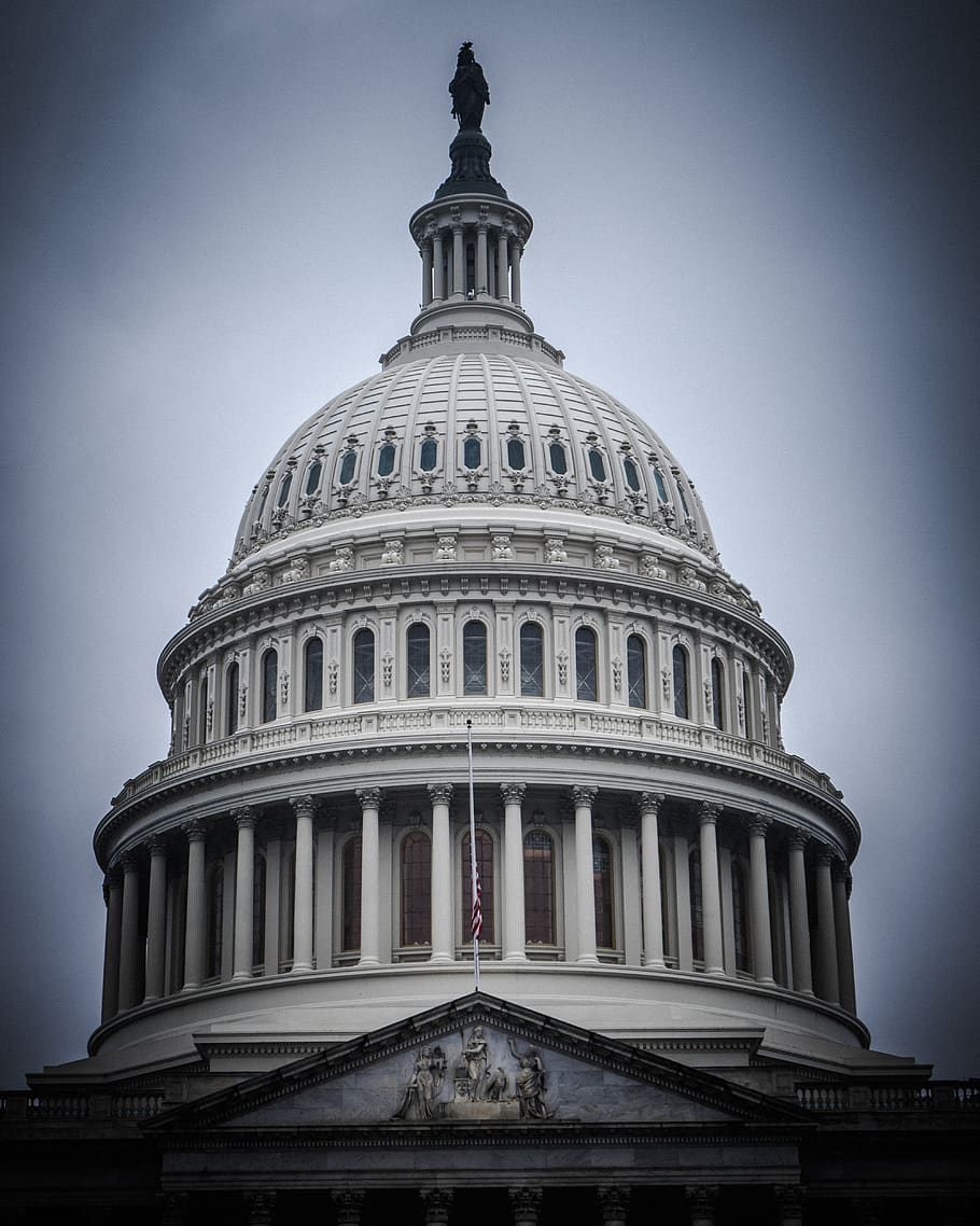 building, dome, architecture, mosque, cricket insect, invertebrate HD wallpaper