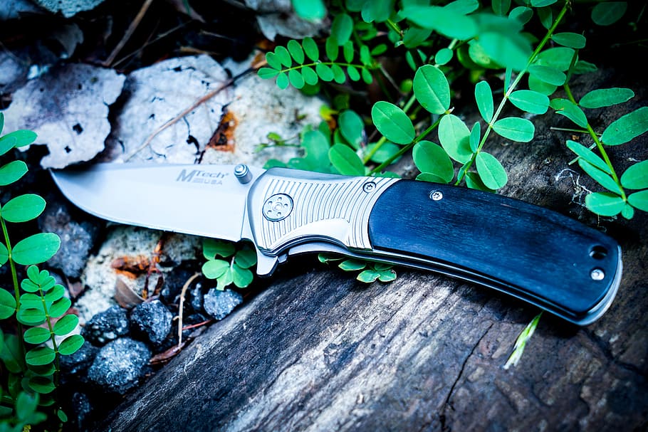 Photography of Knife Near Leaves, blade, chrome, close-up, growth HD wallpaper