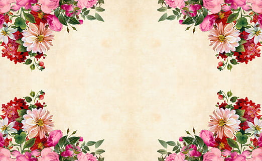 Flower Background Wallpaper Hd  Flower Background Design Hd  1600x1000  Wallpaper  teahubio