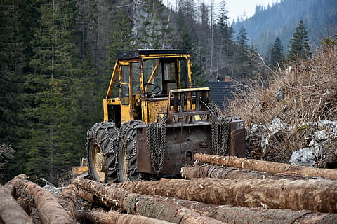 wood, slice, lumberjack, forest, mountains, cut, tree, bale HD wallpaper