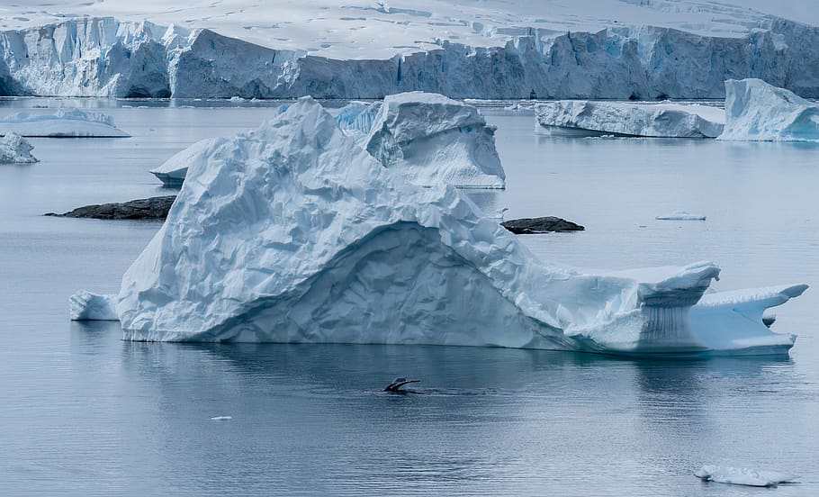 white glacier surrounded with water, ice, cold temperature, frozen HD wallpaper