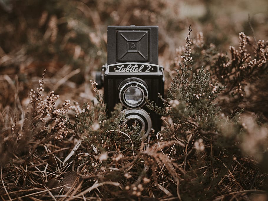 black Lubitol 2 trail camera, electronics, video camera, trademark HD wallpaper