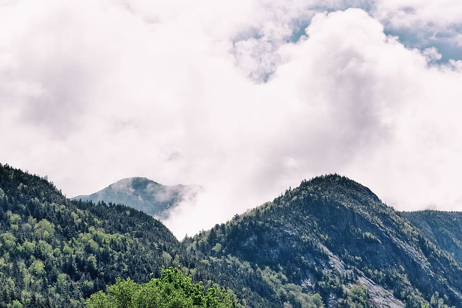 beautiful, view, mountains, trees, fog, clouds, wonderful, nature HD wallpaper