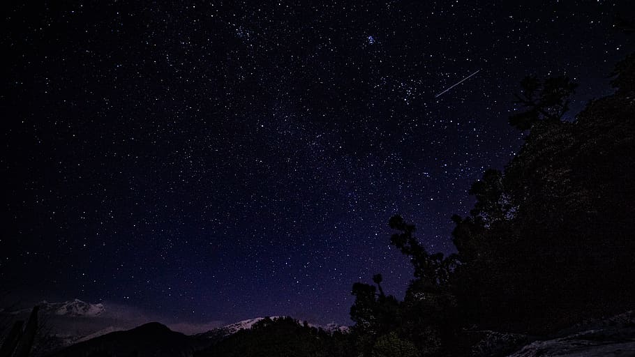 leaf trees at nighttime, nature, outdoors, space, starry sky HD wallpaper