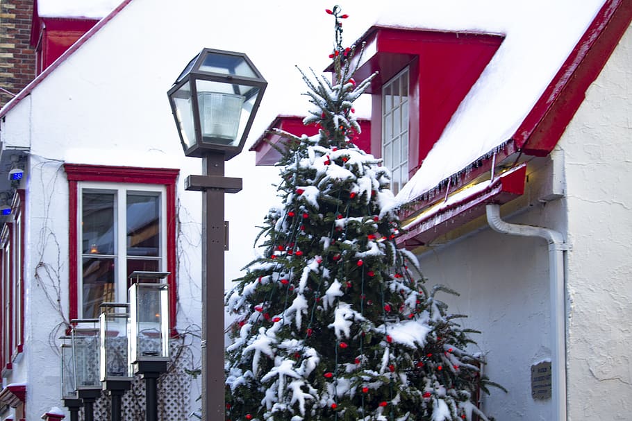 canada, quebec, building exterior, tree, architecture, christmas HD wallpaper