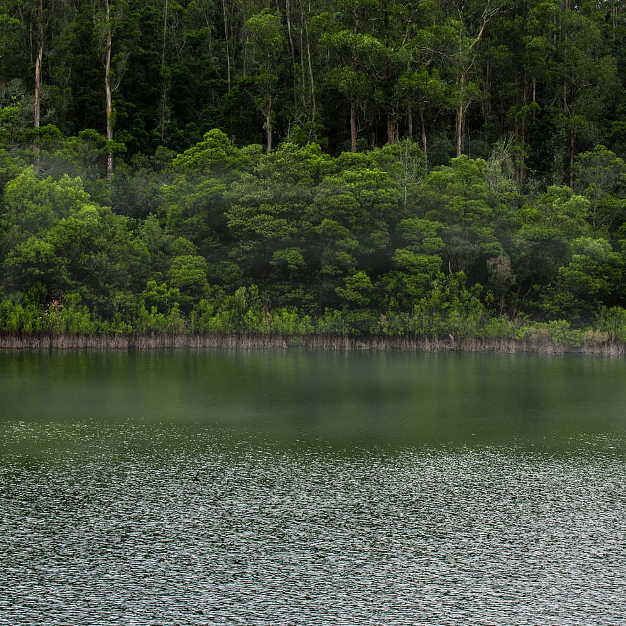 water-nature-outdoors-lake.jpg