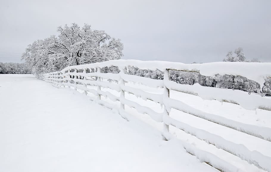 fence coated with snow, cold temperature, winter, white color HD wallpaper