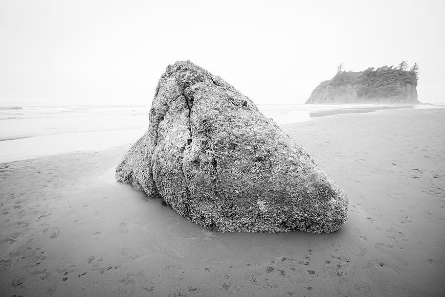 gray rock on seashore, sand, outdoors, ruby beach, nature, ocean, HD wallpaper