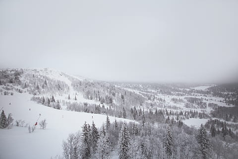 sweden, åre, cold temperature, snow, winter, beauty in nature HD wallpaper