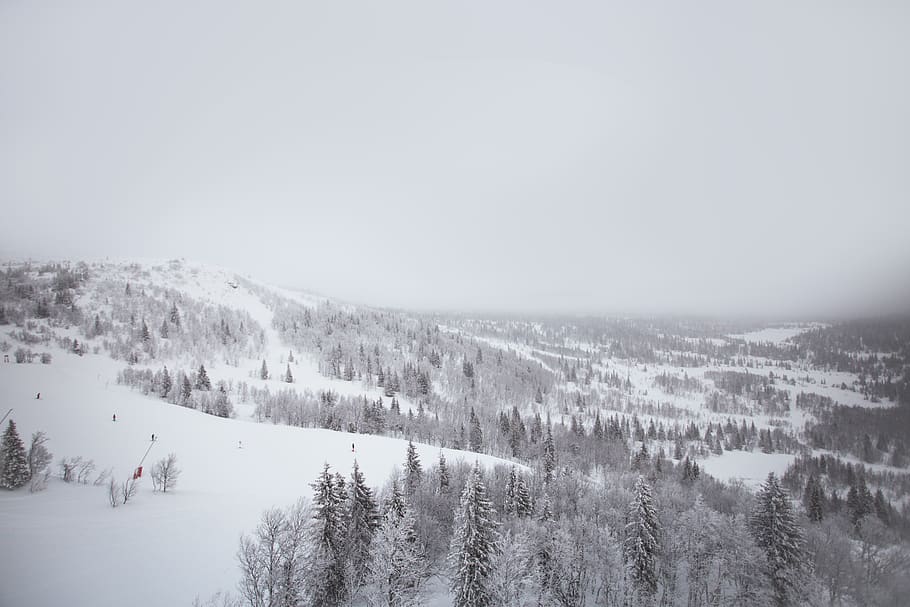 sweden, åre, cold temperature, snow, winter, beauty in nature HD wallpaper