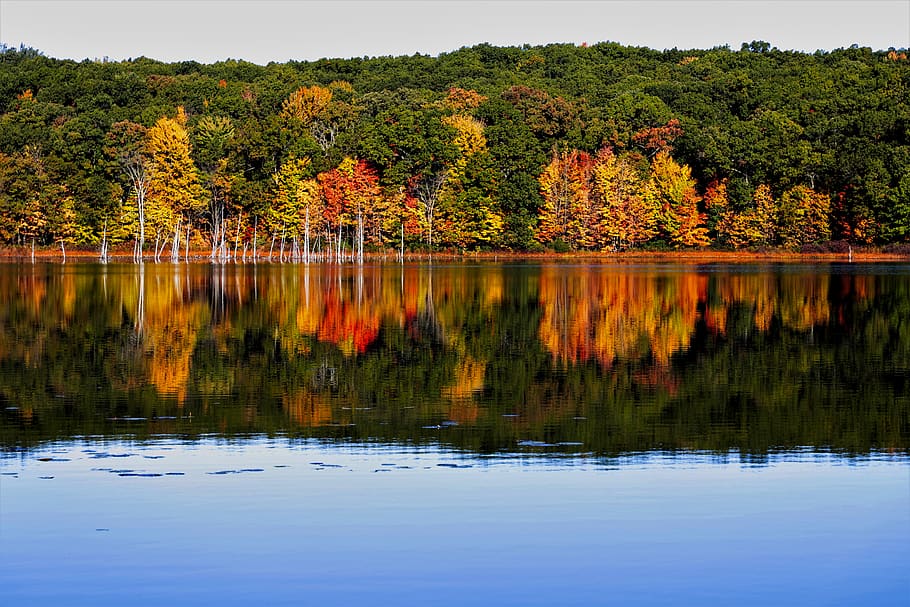 orange and green leafed trees during daytime, nature, vegetation HD wallpaper