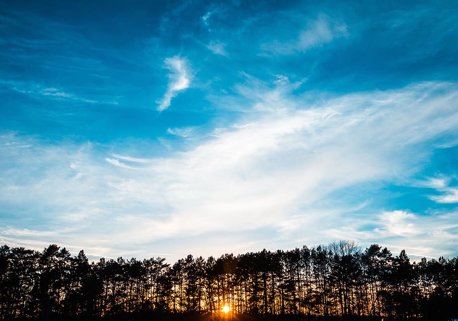 blue, sky, clouds, sunset, sunshine, trees, silhouette, shadows HD wallpaper