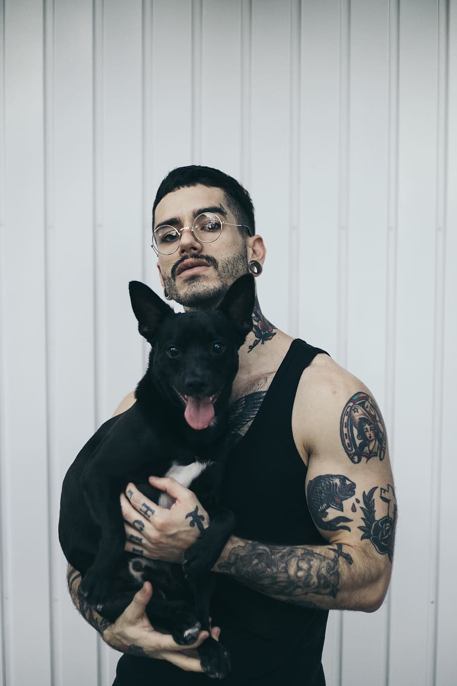 Man Holding Short-coated Black Dog, adorable, animal, breed, canine