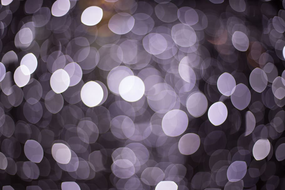 Close-up Photo of Bowkey, art, background, blur, bright, color HD wallpaper