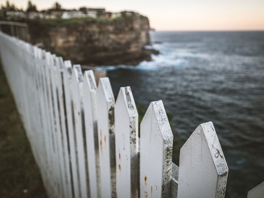 australia, sydney, water, sea, focus on foreground, nature HD wallpaper