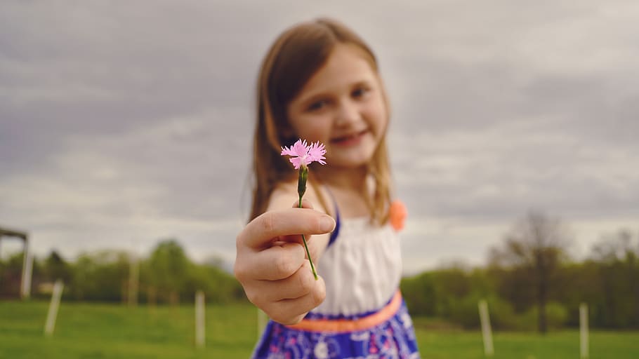 Selective Focus Photography of Girl Holding Pink Flower, blur HD wallpaper