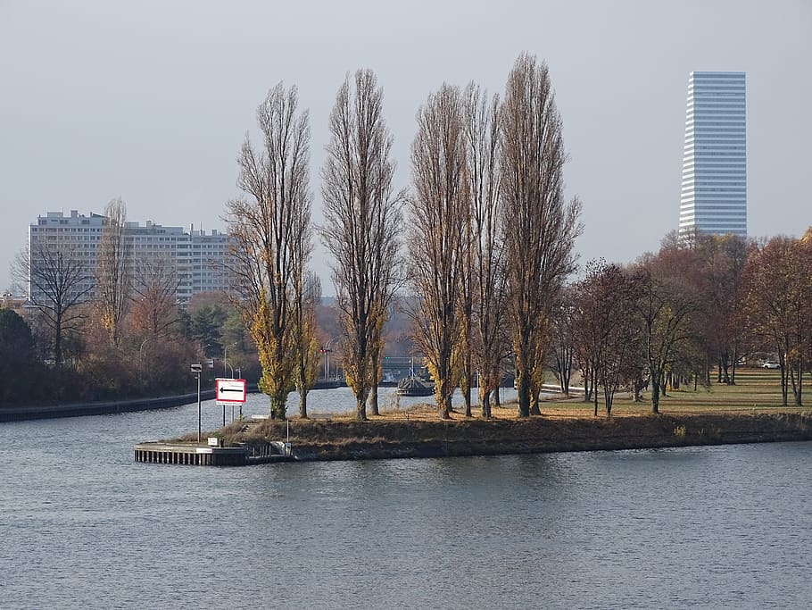 river, rhine, skyscraper, trees, island, water, city, basel HD wallpaper