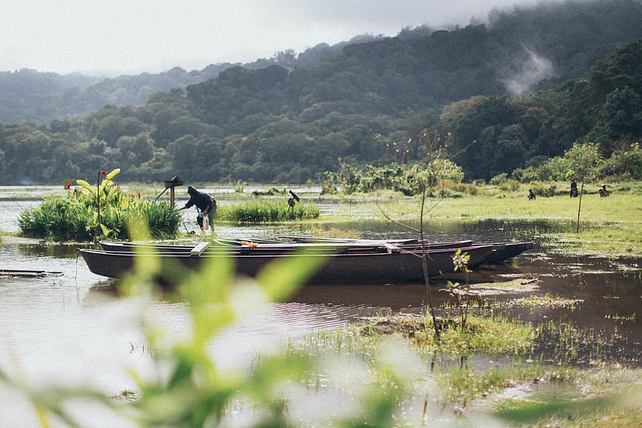 Man on Brown Wooden Boat, beautiful, daylight, environment, grass HD wallpaper