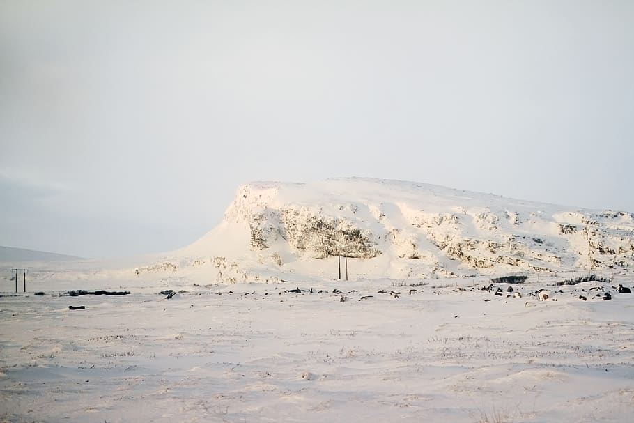 norway, vardø, white, snow, stone, black, mountain, beauty in nature HD wallpaper