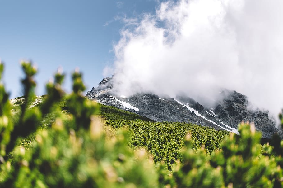 foggy mountain, nature, outdoors, mountain range, plant, pottery HD wallpaper