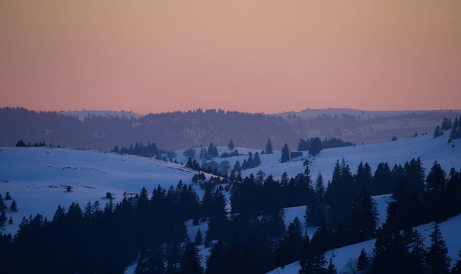 snow, forest, winter, landscape, snowy, sunset, tree, head of ran HD wallpaper