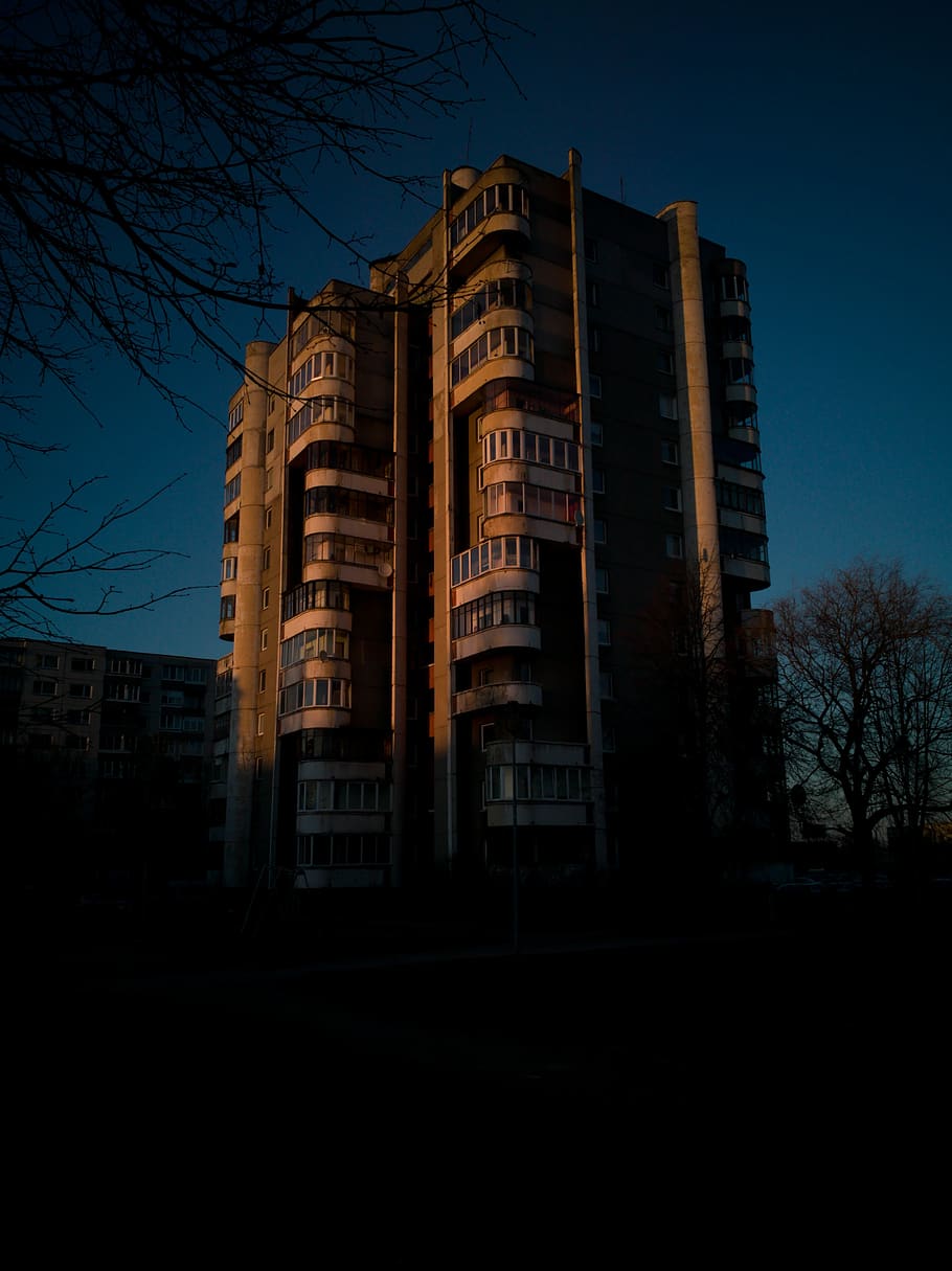 Brown and Beige High Rise Building, architecture, branches, dawn HD wallpaper