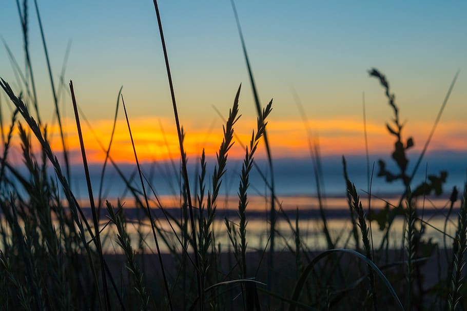 sunset, sky, seashore, clouds, mood, evening, dusk, landscape HD wallpaper