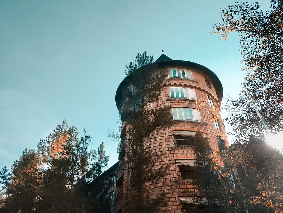 brown bricked tower building, tree, plant, castle, bukit tinggi HD wallpaper