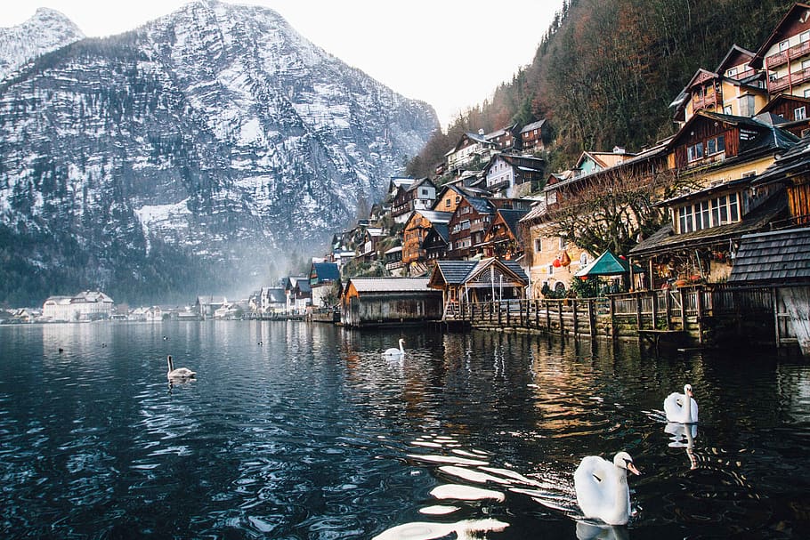 Photo of Houses Near Body of Water, architecture, city, environment HD wallpaper
