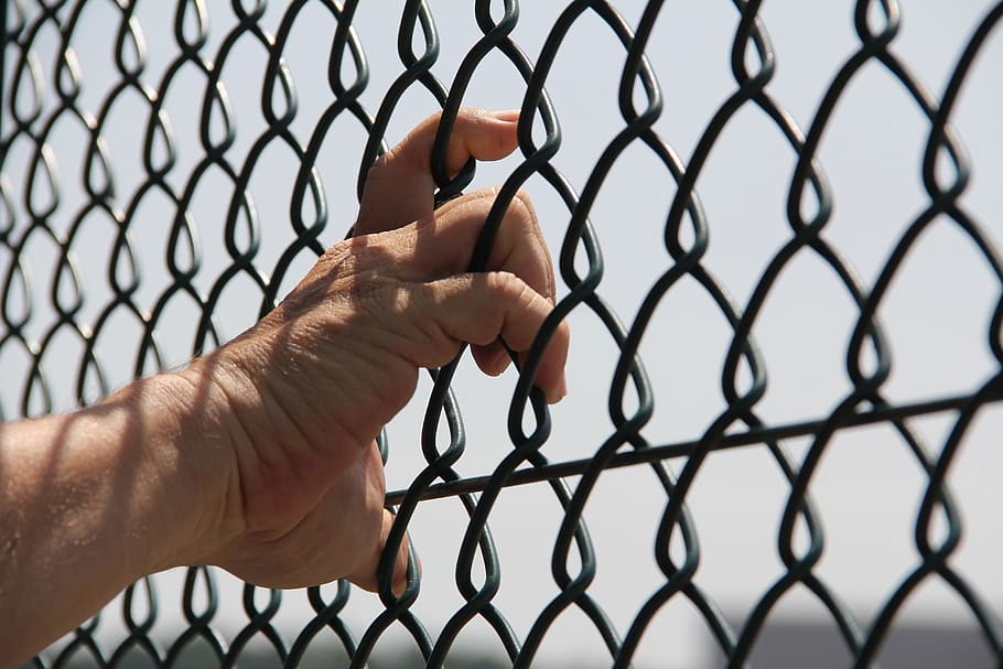 hand, grid, finger, touch, imprisoned, fence, boundary, barrier HD wallpaper
