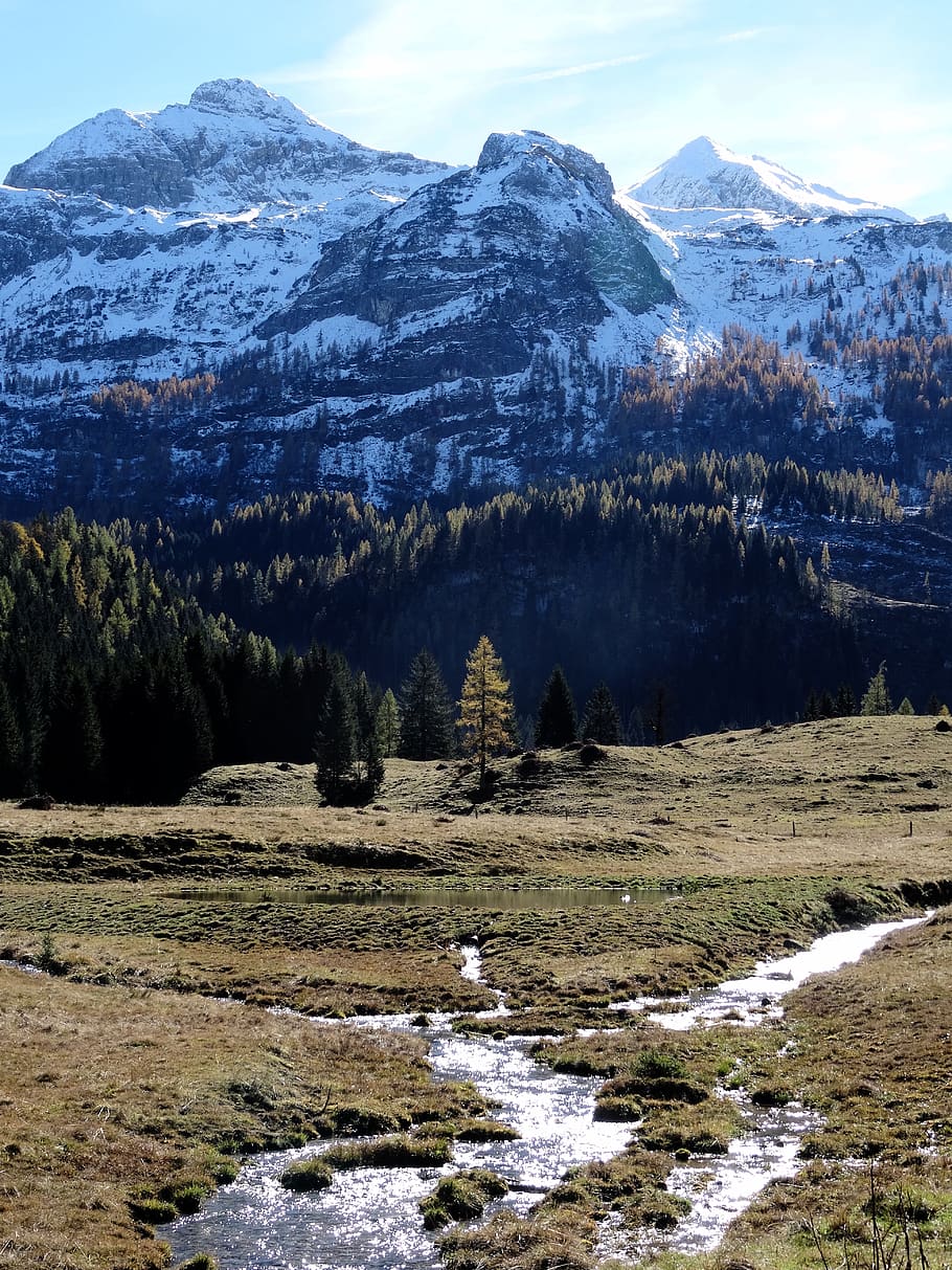 stream, lake, and alps during daytime, mountain, trees, water HD wallpaper