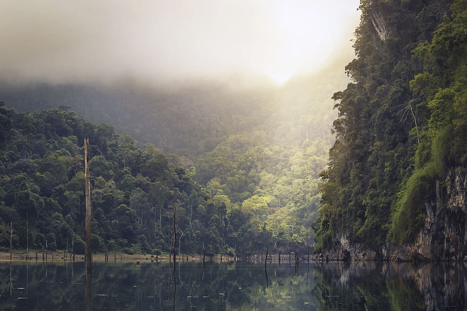 fog, green, lakes, orange, pink, rocks, trees, scenics - nature HD wallpaper