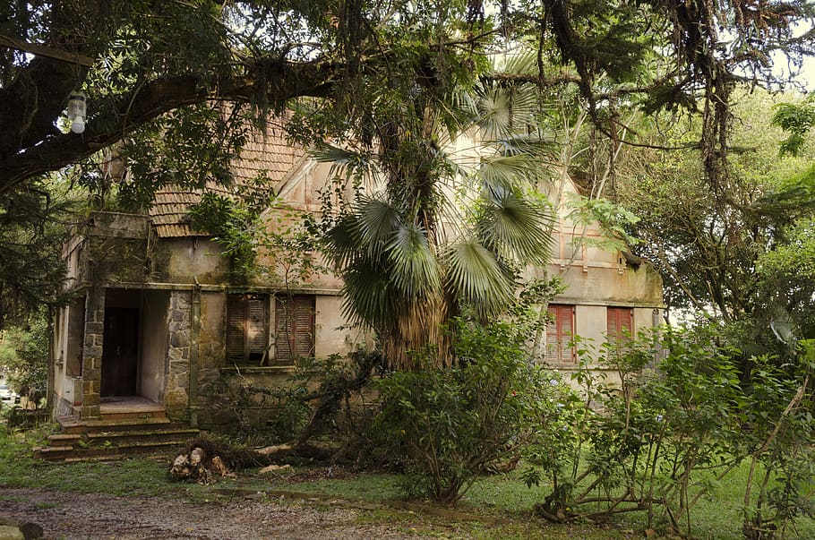 gray-concrete-house-beside-trees.jpg